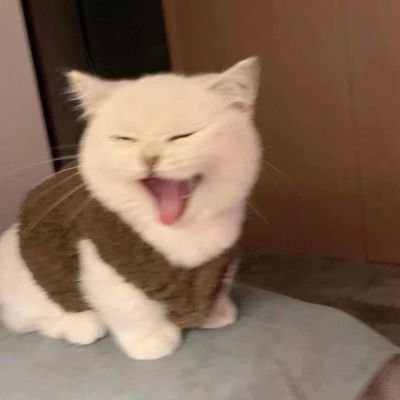 企业信用贷，个人贷，欢迎咨询！