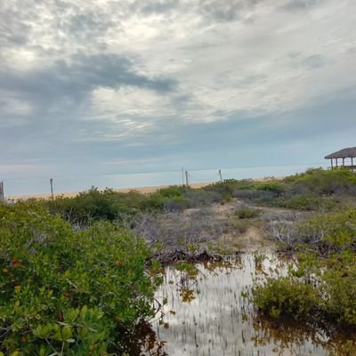 chubbrock29's profile picture. Misunderstandings, words are the source.
