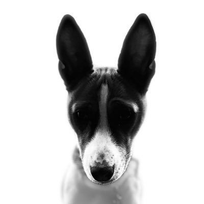 TheClonk31's profile picture. Be kind and always use common sense!