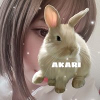 仙台プラトニックスパ🎀あかり🎀 (@aroma__akari) Twitter profile photo