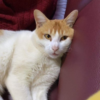 myuhmwaythayyy's profile picture. 