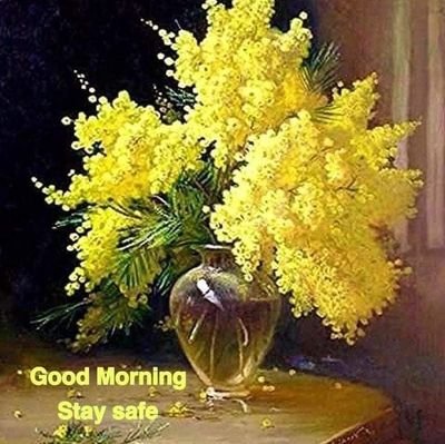 Bkuajayshukla11's profile picture. 