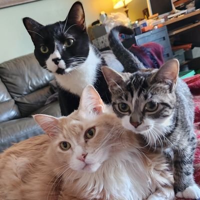 Itsame13267848's profile picture. 