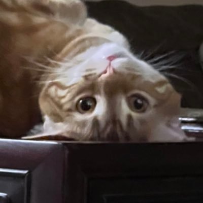 Lilaさんのプロフィール画像