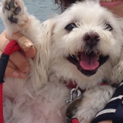 ゆっち＠まだ喉痛