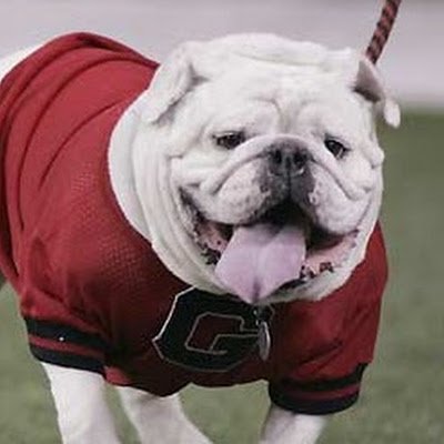 gdogwise's profile picture. Mostly unsupervised Writer of Things slogging through authoring my seventh book, "Undaunted," which is Book #6  of the Dreamscape Conspiracy Series.