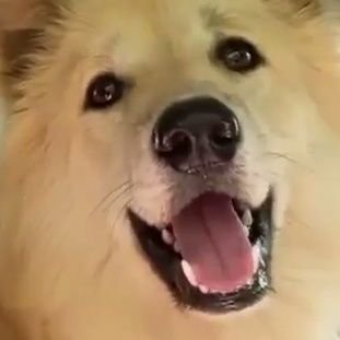 gg_200003's profile picture. จะไม่เล่นแล้ว แต่ยังตามอยู่เสมอ 48Thailand💜💚