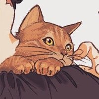 まぜこ (@mixedsoramame) 's Twitter Profile Photo まぜこ (@mixedsoramame) 's Twitter Profile Photo