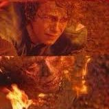 du_lapin's profile picture. YNN