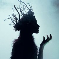 Seyran (@_seyran__) 's Twitter Profile