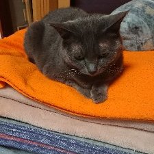 「ミキ評価は早めにお願いします」！Part 1 4573199846132-1.jpg