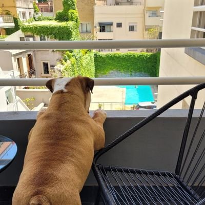 yamilbritez's profile picture. Leader Business Bs. As.