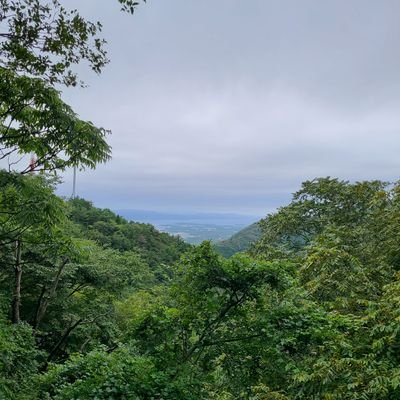 QvOFB7RVBgFQxvq's profile picture. 