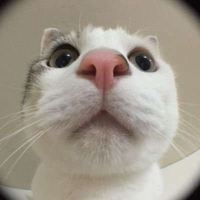 오픈채팅(디엠X)
https://t.co/QBGj4OAvwc
cu끼리택배,gs반택 +0.2(무거운건 운임 추가), 편택가능
🍀🍀🍀gs25반택은 상자 필요해서 제 집에 상자 있어야 가능(상자 없을땐 끼리택배 이용)