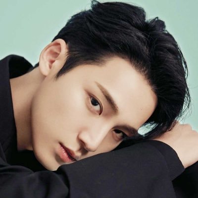 SEVENTEEN💎ミンギュ🐶 TWSヨンジェ 🐶 40↑埼玉 Carat 無駄に新大久保行きます。