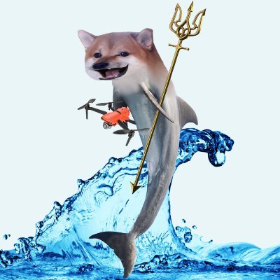 dolphinafella's profile picture. Russomisic #NAFO dolfella here for #Ukraine #MUGA '91
#RussiaIsATerroristState !!

Donate: @SaintJavelin, @BackAndAlive, @LibertyUkraineF