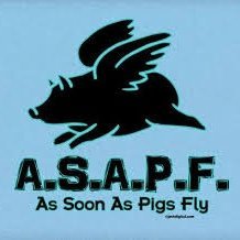I'll get good at chess As Soon As Pigs Fly! Meanwhile, I'm just another old Patzer who loves the game.