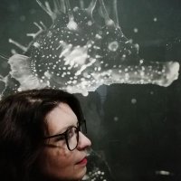Delphine Regnard (@drmlj) 's Twitter Profile