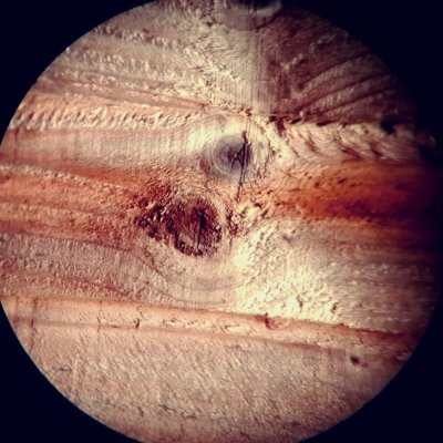 MattThePlank1's profile picture. 