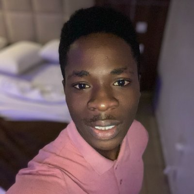 meshegz's profile picture. Android | Flutter developer