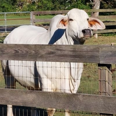 TraceyTegeler's profile picture. 