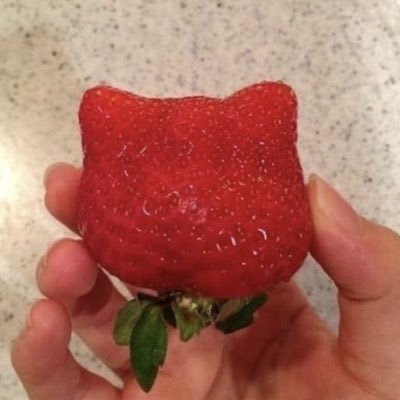 mentalberrycoke's profile picture. 💐🌹| 𝕓𝕚𝕘𝕖𝕟𝕕𝕖𝕣 | 𝕔𝕔𝕤 𝕓𝕝𝕠𝕔𝕜𝕖𝕕 | 16 |𝔸𝕟𝕥𝟙𝕤 𝕛𝕦𝕤𝕥 𝕓𝕝𝕠𝕔𝕜| online-💚, offline- ❤️