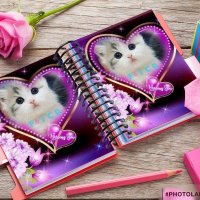 كـ⭐️ـوٌكـ⭐️ـبـ⭐️ـ آلَمـ⭐️ـرحـ (@f6icr) 's Twitter Profile