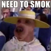 H Muzzlord (@muzzlordh) 's Twitter Profile