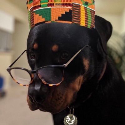 LoudPacquiao's profile picture. There’s truth in every joke.