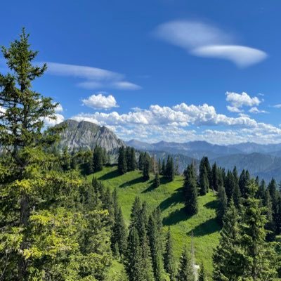 Andreas08140152's profile picture. 