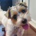 Russell Tranbarger (@tranbar1russell) Twitter profile photo Russell Tranbarger (@tranbar1russell) Twitter profile photo