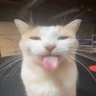 cactusbractus's profile picture. i hate this place