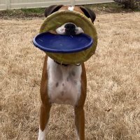 Frank Epstein (@265rrc) 's Twitter Profile