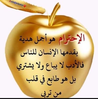 akibabdelmadjid's profile picture. correspondant pigiste..ex entreprise