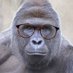Tuna (@2nahhh) Twitter profile photo Tuna (@2nahhh) Twitter profile photo