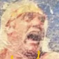 DOGE TO THE MOON @@@ (@ii_pellegrino2) 's Twitter Profile
