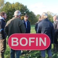 @BofinFarmers(@bofinfarmers) 's Twitter Profile Photo