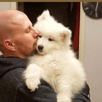 @DazzDazz2 #MGWV (@dazzdazz2) 's Twitter Profile