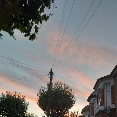 Mohsheikh1's profile picture. 