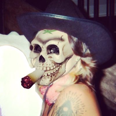 alexxspecht's profile picture. 