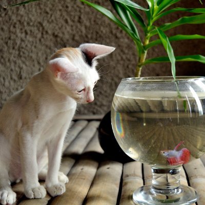 Mangga_Design's profile picture. https://t.co/65D4ilmpOg