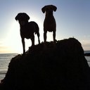 Matt Donovan - @Themattdonovan - Twitter