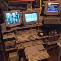 Coding Memes Bot (@codingmemesbot) 's Twitter Profile