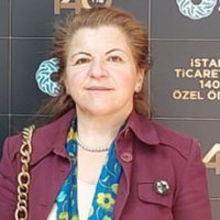 Sevgi (@brsevgi) 's Twitter Profile