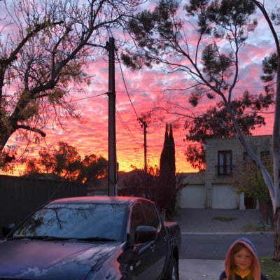 DanielEldic's profile picture. 