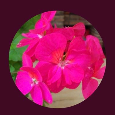 Me gusta reír a carcajada, el debate desde el respeto. Necesito vivir en contacto con la naturaleza. No puedo decir que perdono y olvido el daño a los míos.