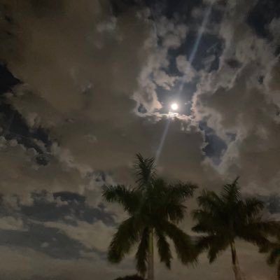 4wfulthingz's profile picture. 