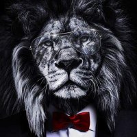 الشخص المجهول (@znu3v) 's Twitter Profile