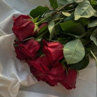 قرآن | 𝚀𝚄𝚁𝙰𝙽 (@charity__301) Twitter profile photo