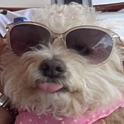 splonch1's profile picture. 